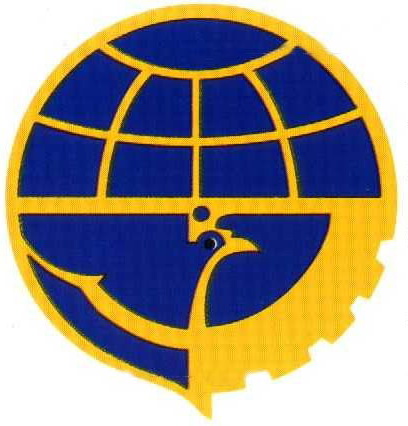 DG Shipping